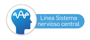 lineasistemanervioso lineasistemanervioso