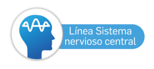 lineasistemanervioso